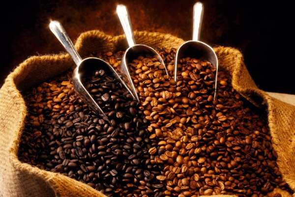 4 loại hạt cà phê Arabica nổi tiếng.
