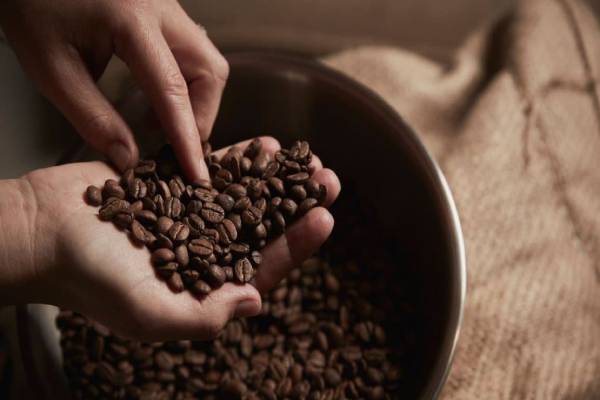 Ăn hạt cà phê có lợi hay có hại đối với sức khỏe?